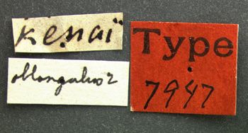 Media type: image;   Entomology 7947 Aspect: labels